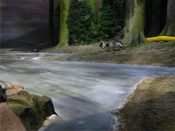 Harry Potter Film Set